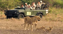 Hunting Safari